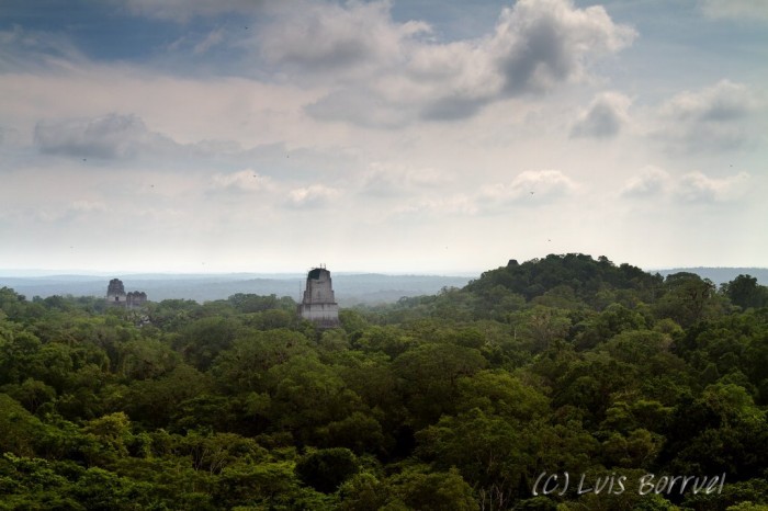 Tikal Templo IV