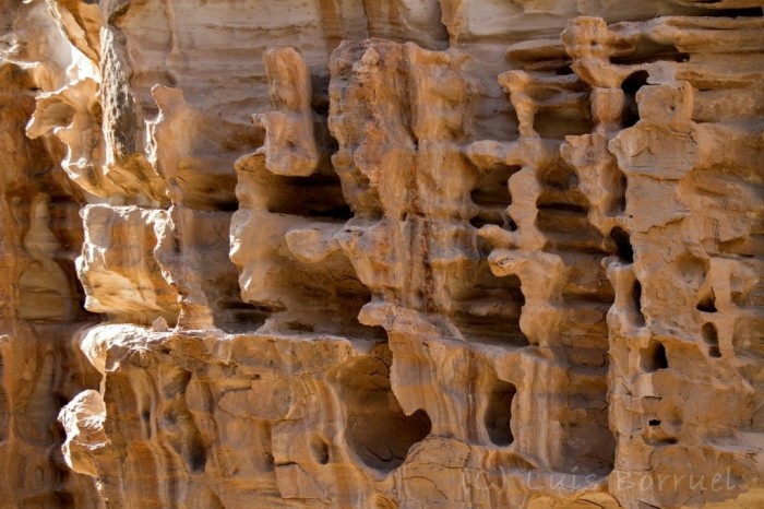 Little Petra texture4