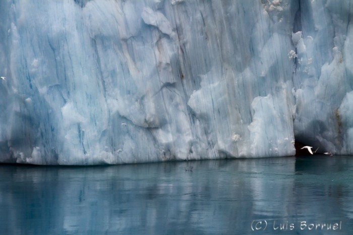 Glaciar Petrel