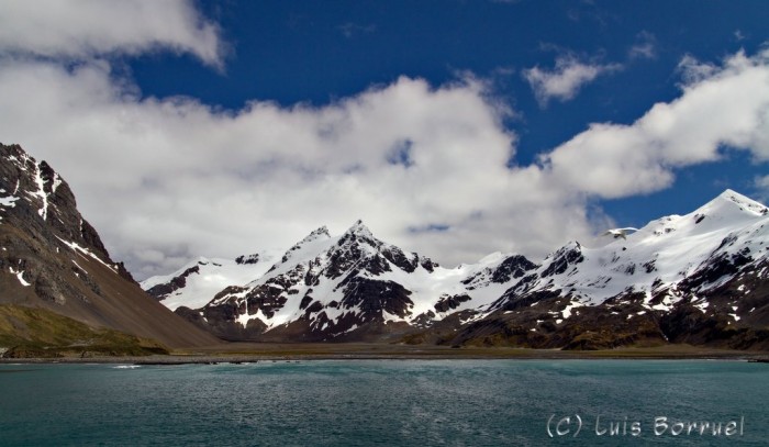 Right Whale Bay