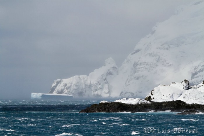 Elephant IslandWild Point Iceberg