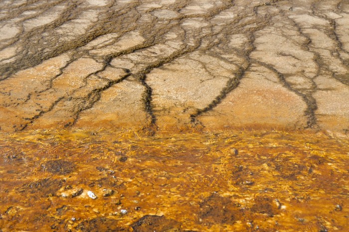 Yellowstone textures 12