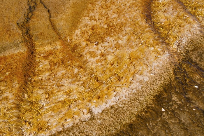 Yellowstone textures 13