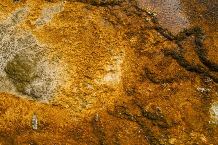 Yellowstone textures 14