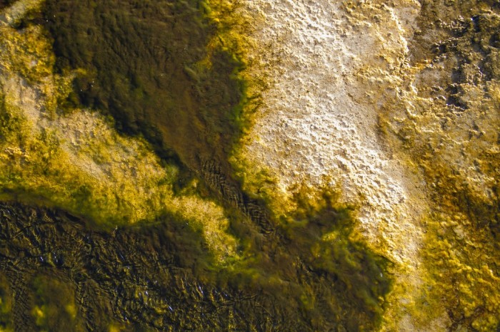 Yellowstone textures 22