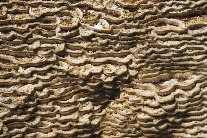 Yellowstone textures 9